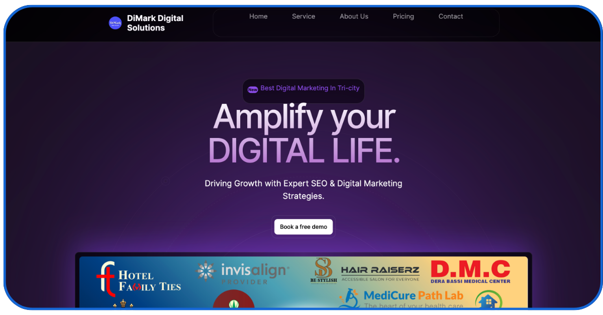 Digital Marketing Company in Zirakpur